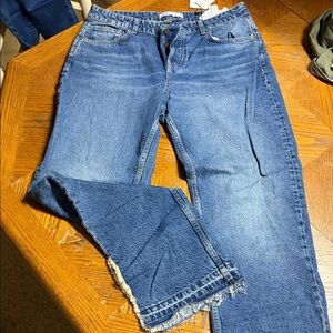 Zara Classic Blue Ankle Jeans